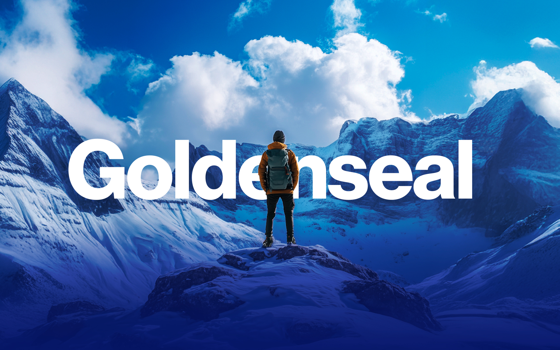 no TM Goldenseal-portfolio-01b